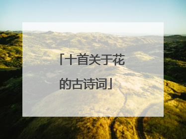 十首关于花的古诗词