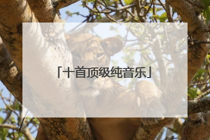十首顶级纯音乐