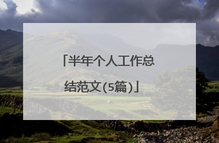 半年个人工作总结范文(5篇)