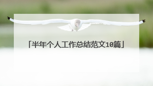 半年个人工作总结范文10篇