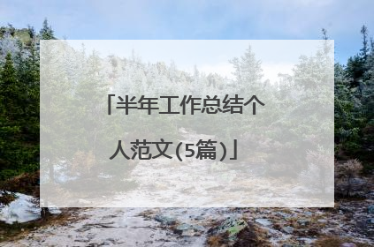 半年工作总结个人范文(5篇)