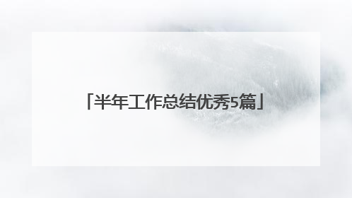 半年工作总结优秀5篇