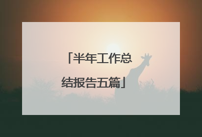 半年工作总结报告五篇