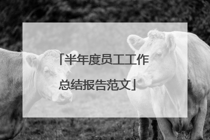 半年度员工工作总结报告范文