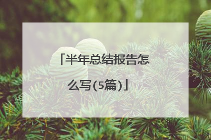 半年总结报告怎么写(5篇)