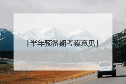 半年预备期考察意见