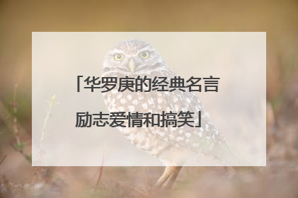 华罗庚的经典名言励志爱情和搞笑