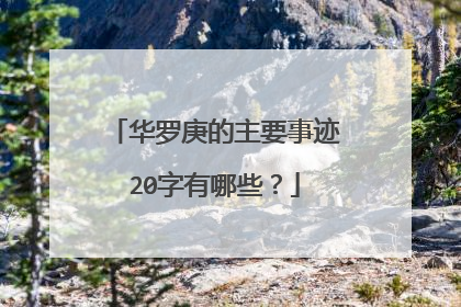 华罗庚的主要事迹20字有哪些？