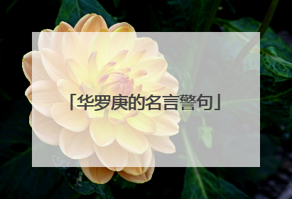 华罗庚的名言警句