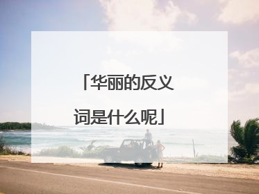 华丽的反义词是什么呢