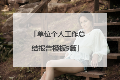 单位个人工作总结报告模板5篇