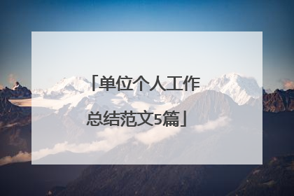 单位个人工作总结范文5篇