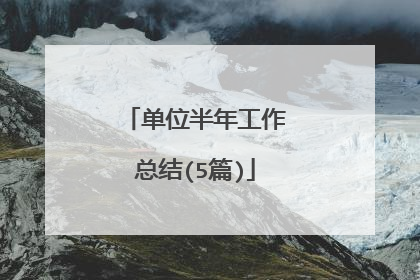 单位半年工作总结(5篇)