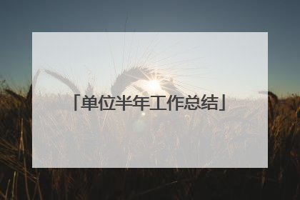 单位半年工作总结