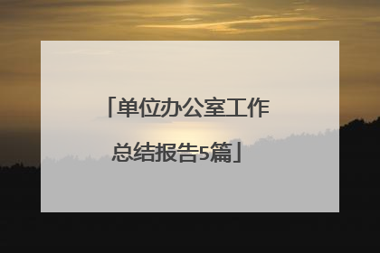 单位办公室工作总结报告5篇