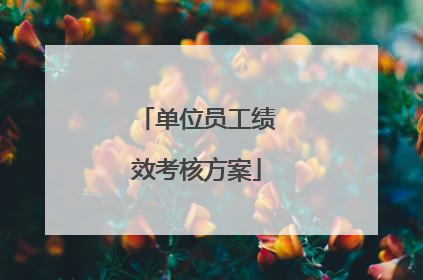 单位员工绩效考核方案