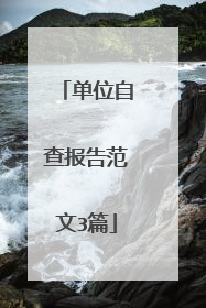 单位自查报告范文3篇