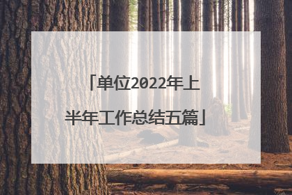 单位2022年上半年工作总结五篇