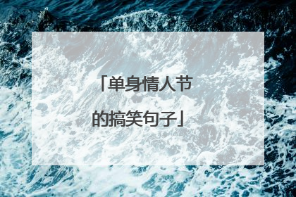 单身情人节的搞笑句子