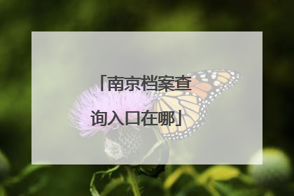 南京档案查询入口在哪