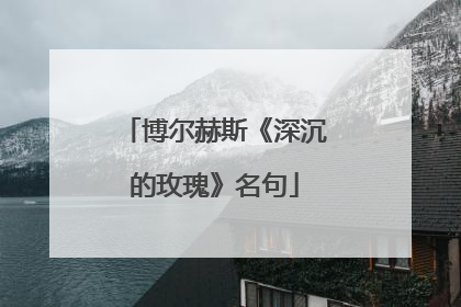 博尔赫斯《深沉的玫瑰》名句
