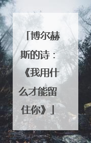 博尔赫斯的诗：《我用什么才能留住你》