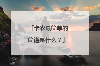 卡农最简单的简谱是什么?