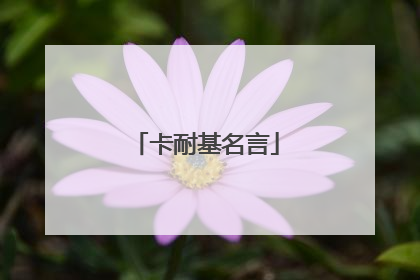 卡耐基名言