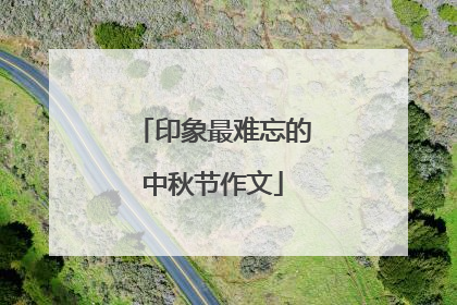 印象最难忘的中秋节作文