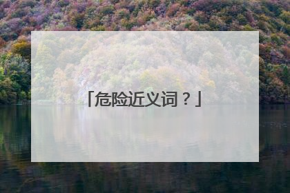 危险近义词?