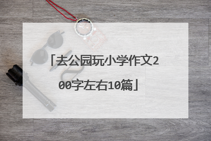去公园玩小学作文200字左右10篇