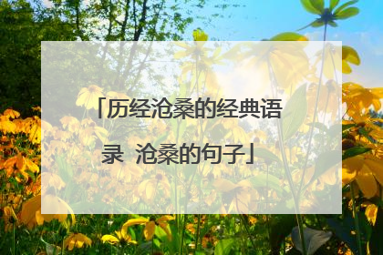 历经沧桑的经典语录 沧桑的句子