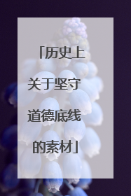 历史上关于坚守道德底线的素材