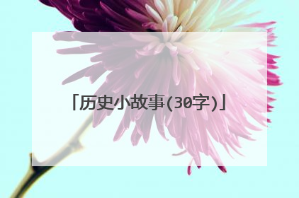 历史小故事(30字)