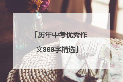 历年中考优秀作文800字精选