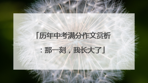 历年中考满分作文赏析：那一刻，我长大了