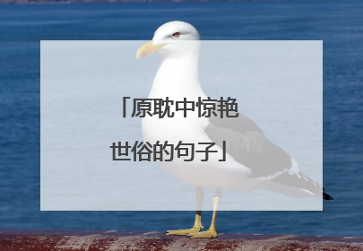 原耽中惊艳世俗的句子