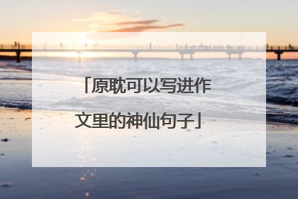 原耽可以写进作文里的神仙句子