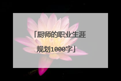 厨师的职业生涯规划1000字