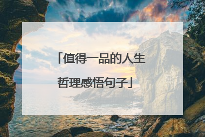 值得一品的人生哲理感悟句子