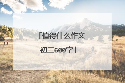 值得什么作文初三600字