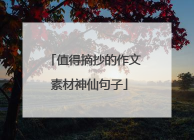 值得摘抄的作文素材神仙句子