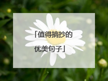 值得摘抄的优美句子