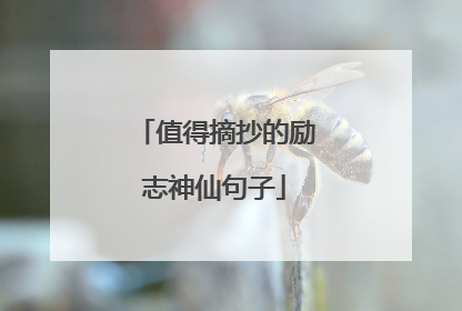 值得摘抄的励志神仙句子