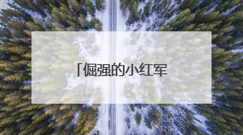 倔强的小红军课文里主要讲了一件什么事