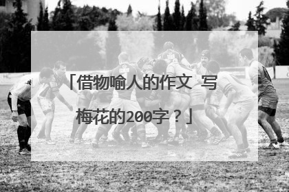 借物喻人的作文 写梅花的200字?