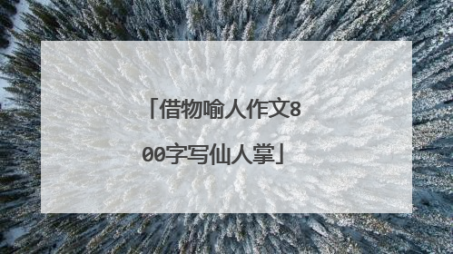 借物喻人作文800字写仙人掌