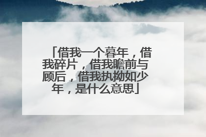 借我一个暮年，借我碎片，借我瞻前与顾后，借我执拗如少年，是什么意思