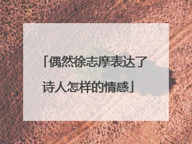 偶然徐志摩表达了诗人怎样的情感