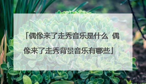 偶像来了走秀音乐是什么 偶像来了走秀背景音乐有哪些